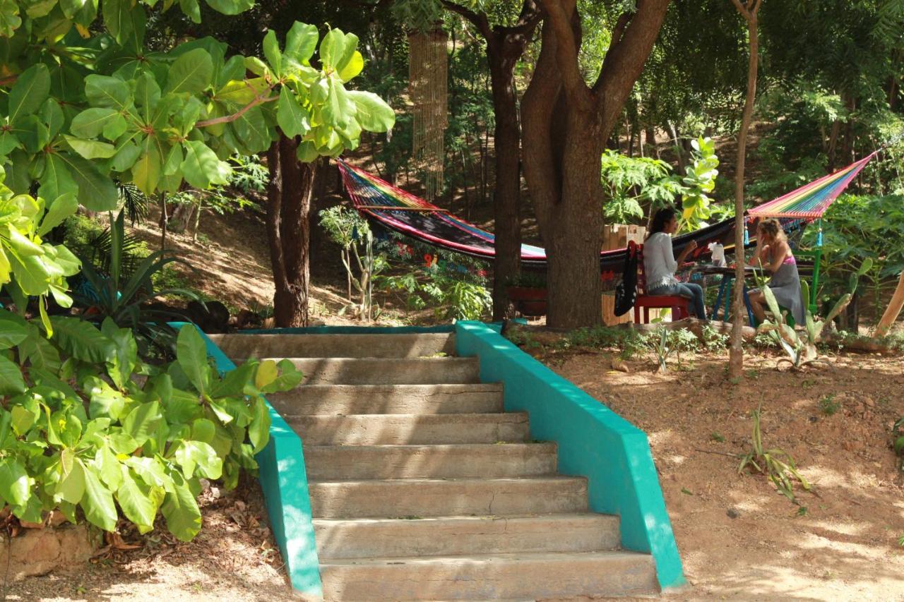 El Gigante Hotel Brio מראה חיצוני תמונה